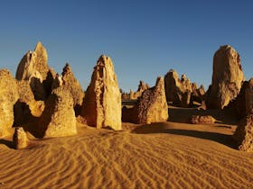 Pinnacles Desert Discovery Centre