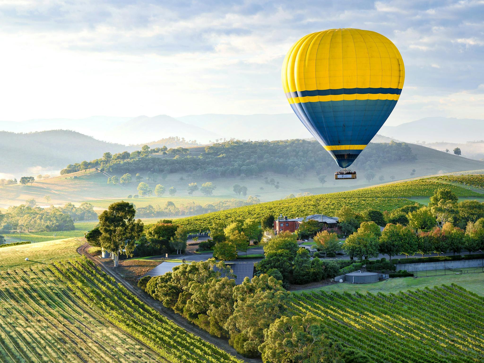 Yarra Valley Sunrise Balloon Flight