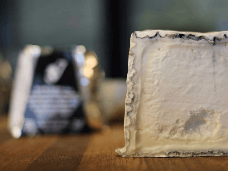 Jannei Artisan Cheese