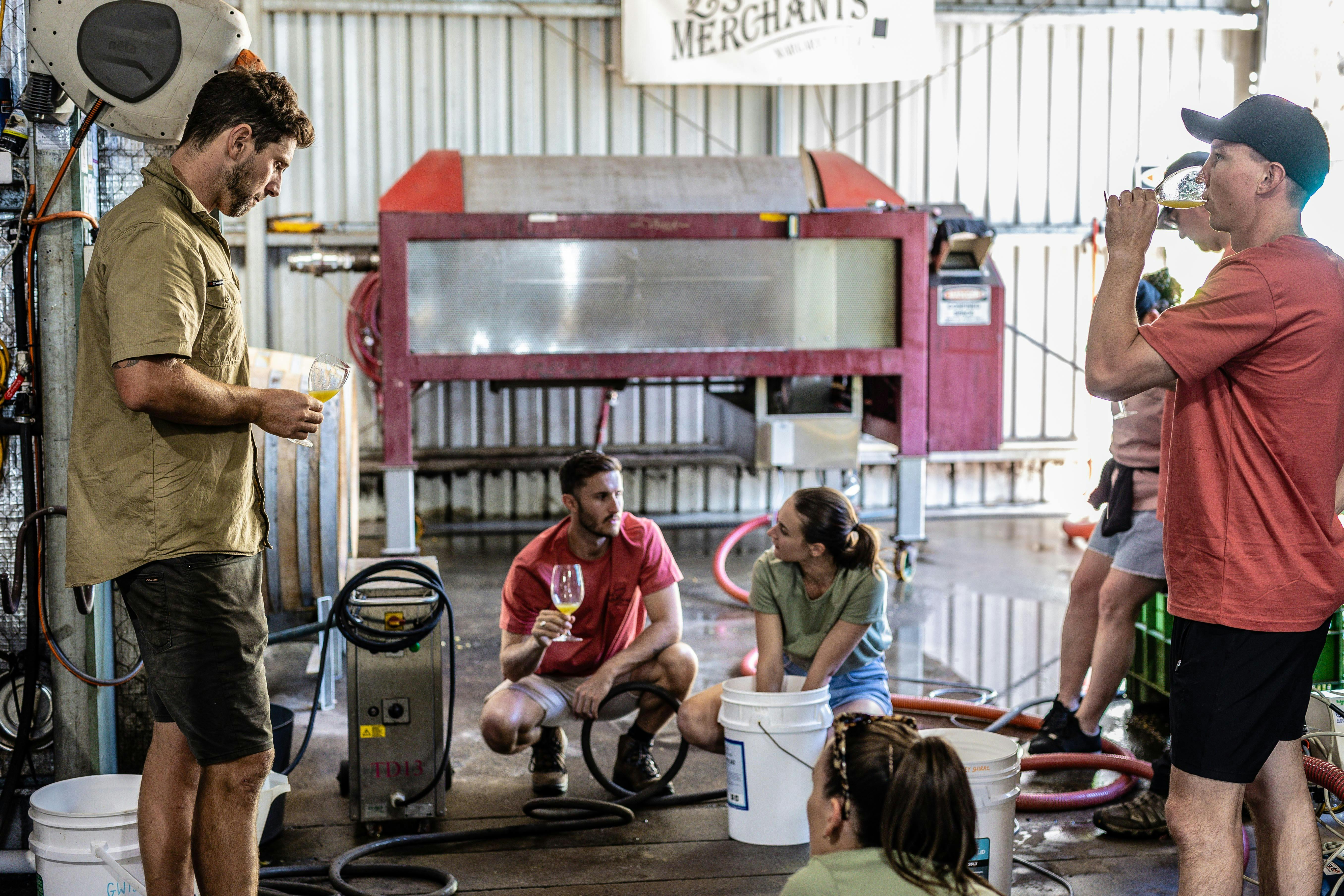 LS Merchants - guests involved in red wine vintage works