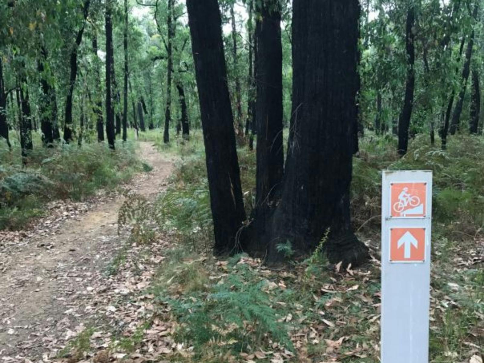 Mount Clay Mountain Bike Trail