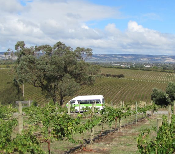 McLaren Vale Wine Beer and Cider Tour