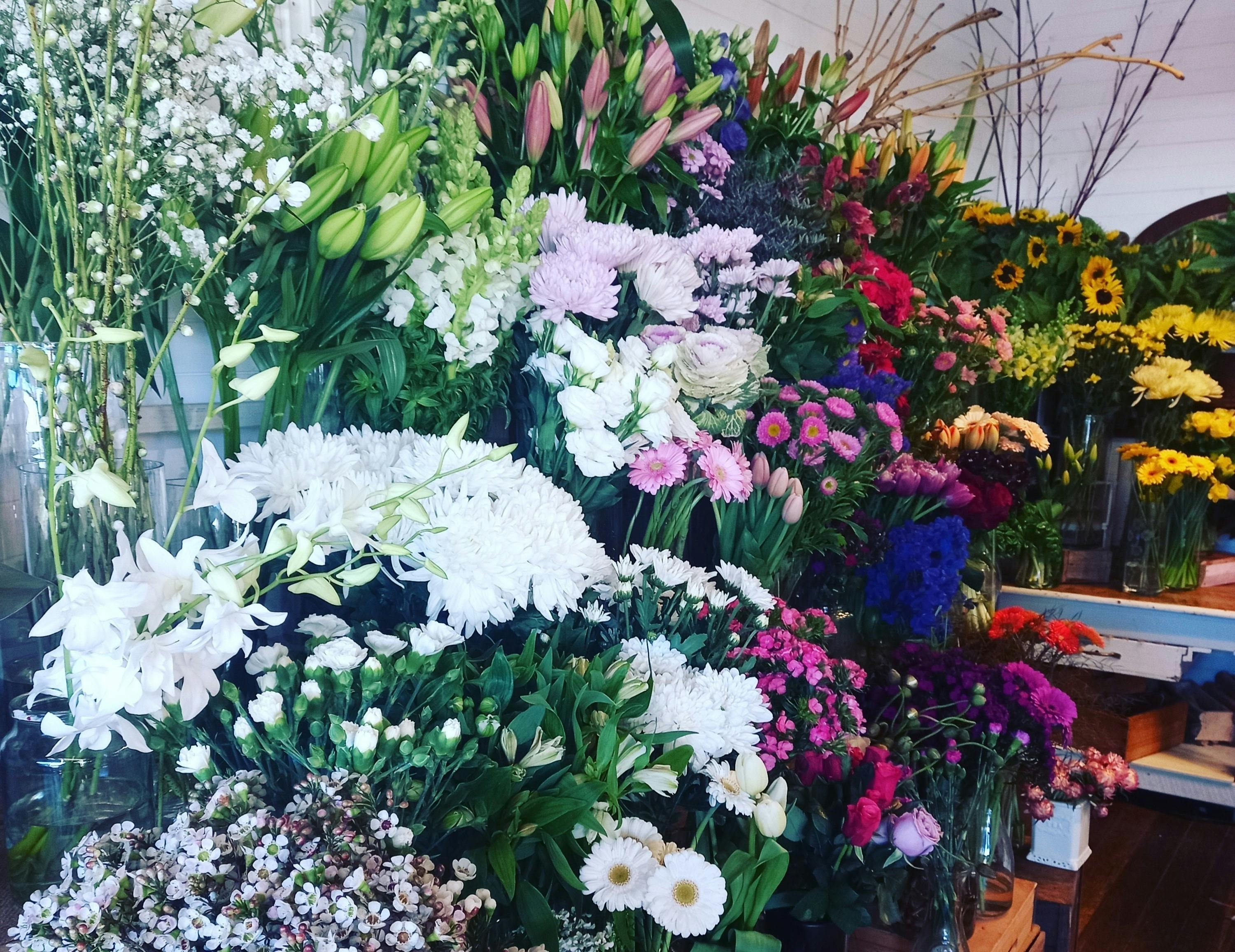 The Petal Collective