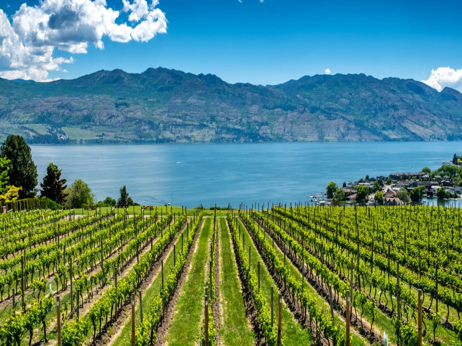 푸드 와인 및 스파 투어