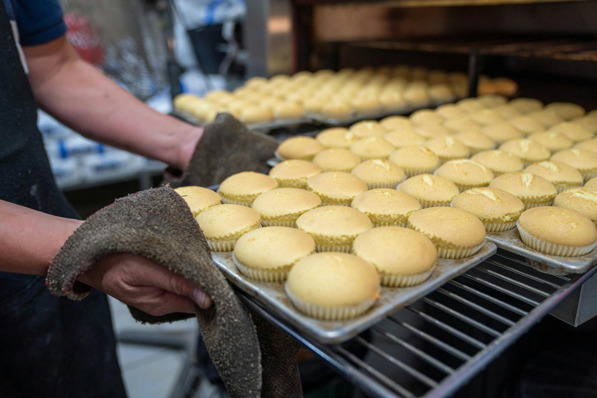 테모라 프렌치 핫 베이커리