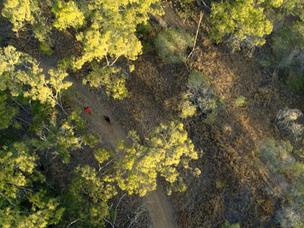 Hillview Drive Reserve