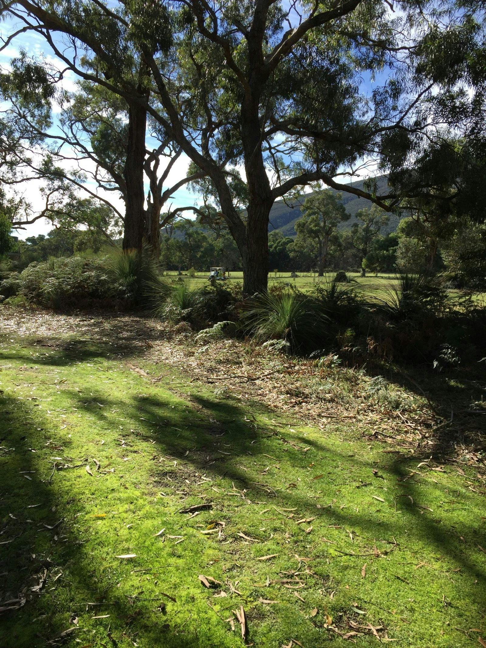 Grampians Golf Club