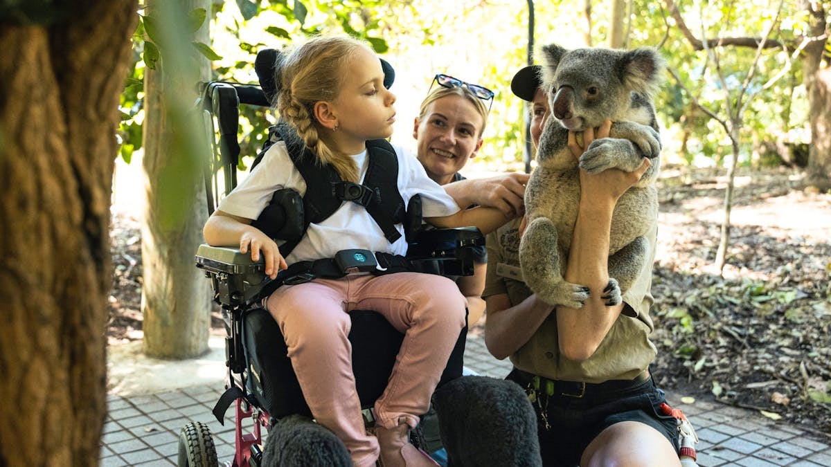 A guest in a wheelchair and a staff member holding a koala during an encounter.