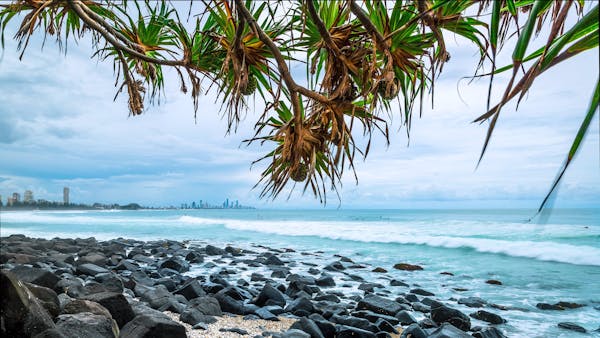 Burleigh Head Hour