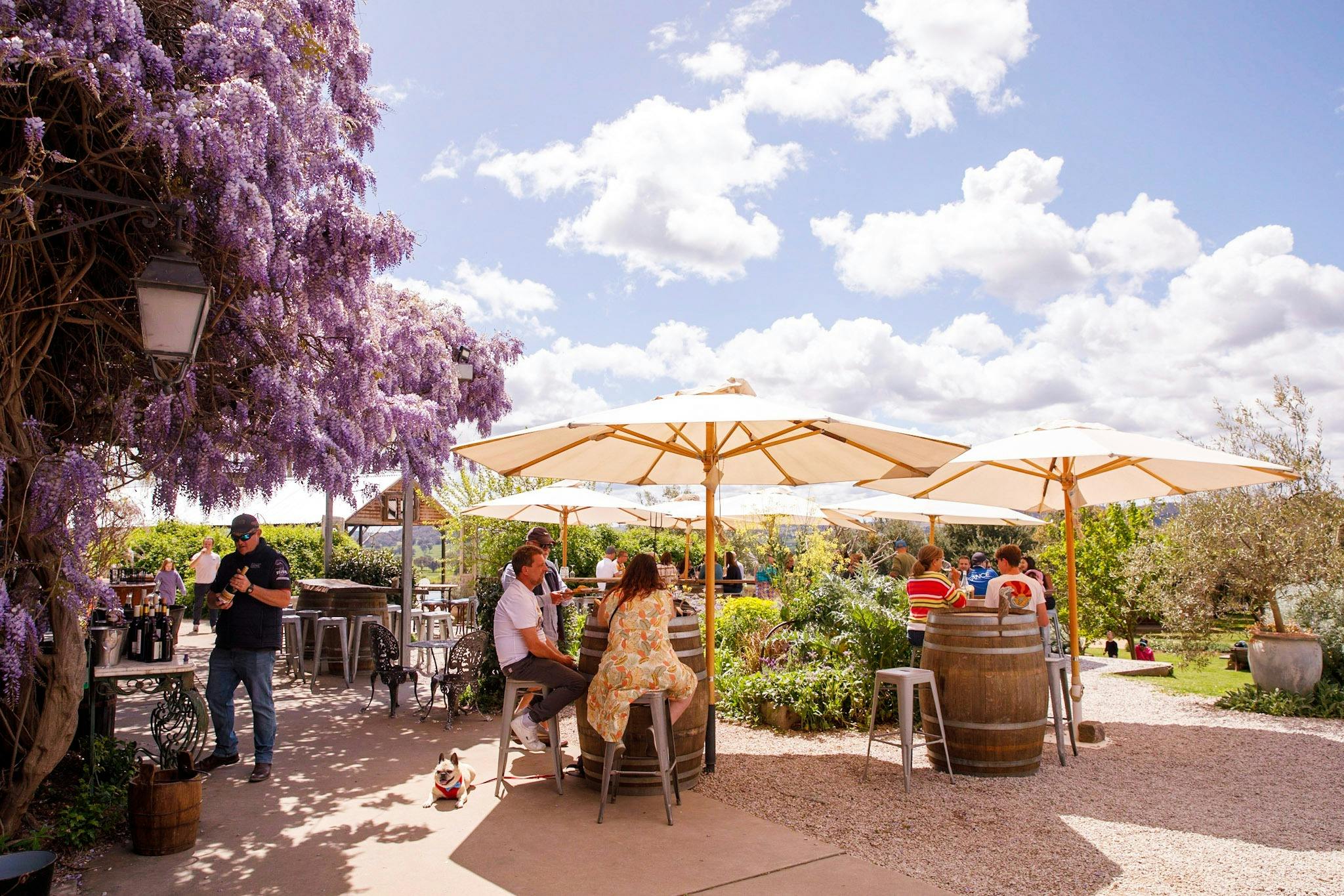 Sunny Lowe Cellar Door