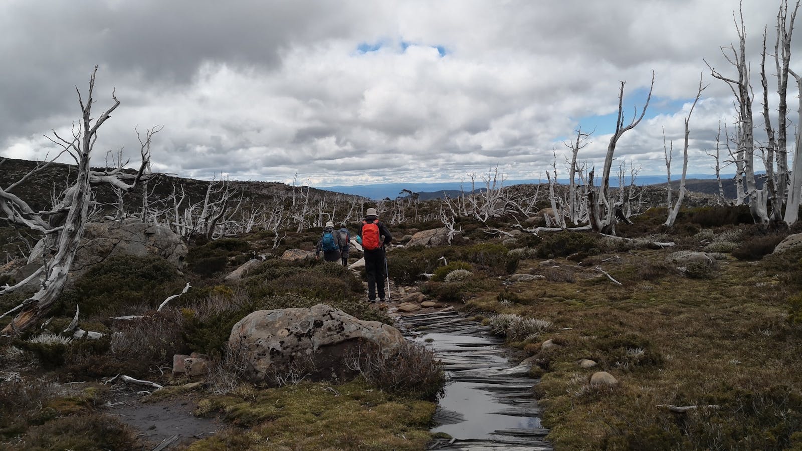 Mt Field NP on the Lake Pedder & South West Wilderness Pack-Free Walk by Life's An Adventure