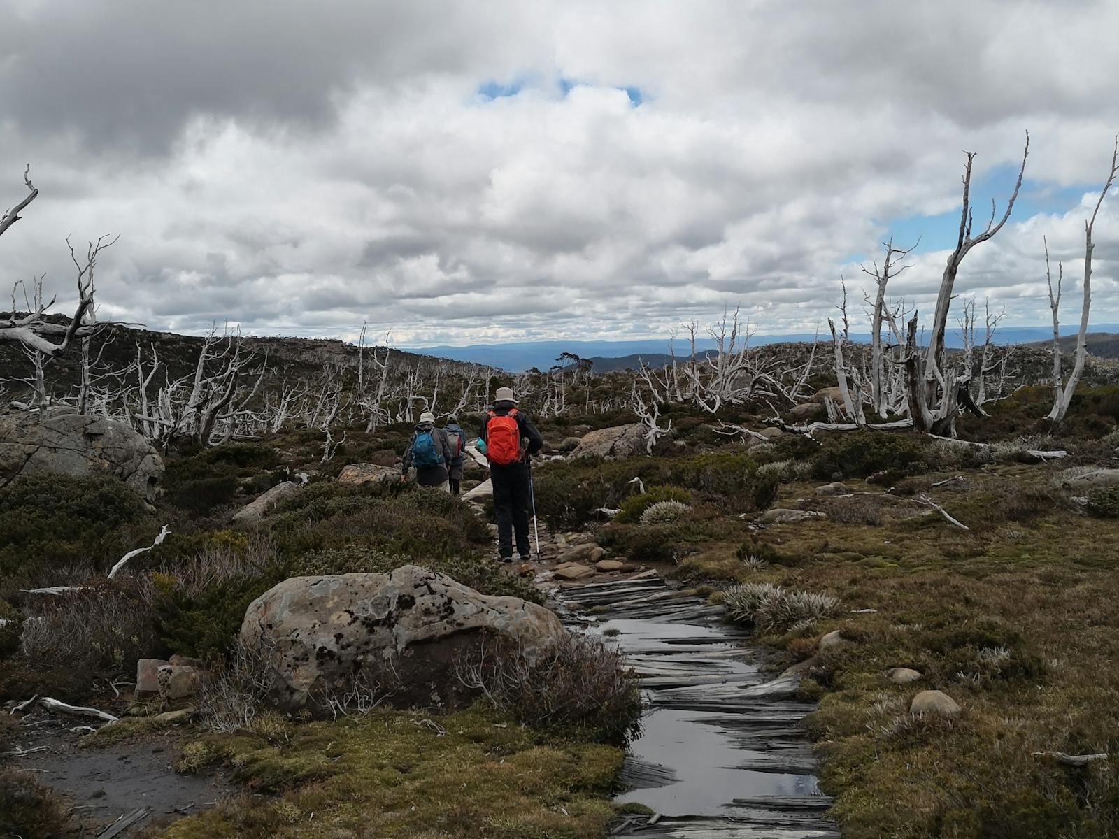 Mt Field NP on the Lake Pedder & South West Wilderness Pack-Free Walk by Life's An Adventure