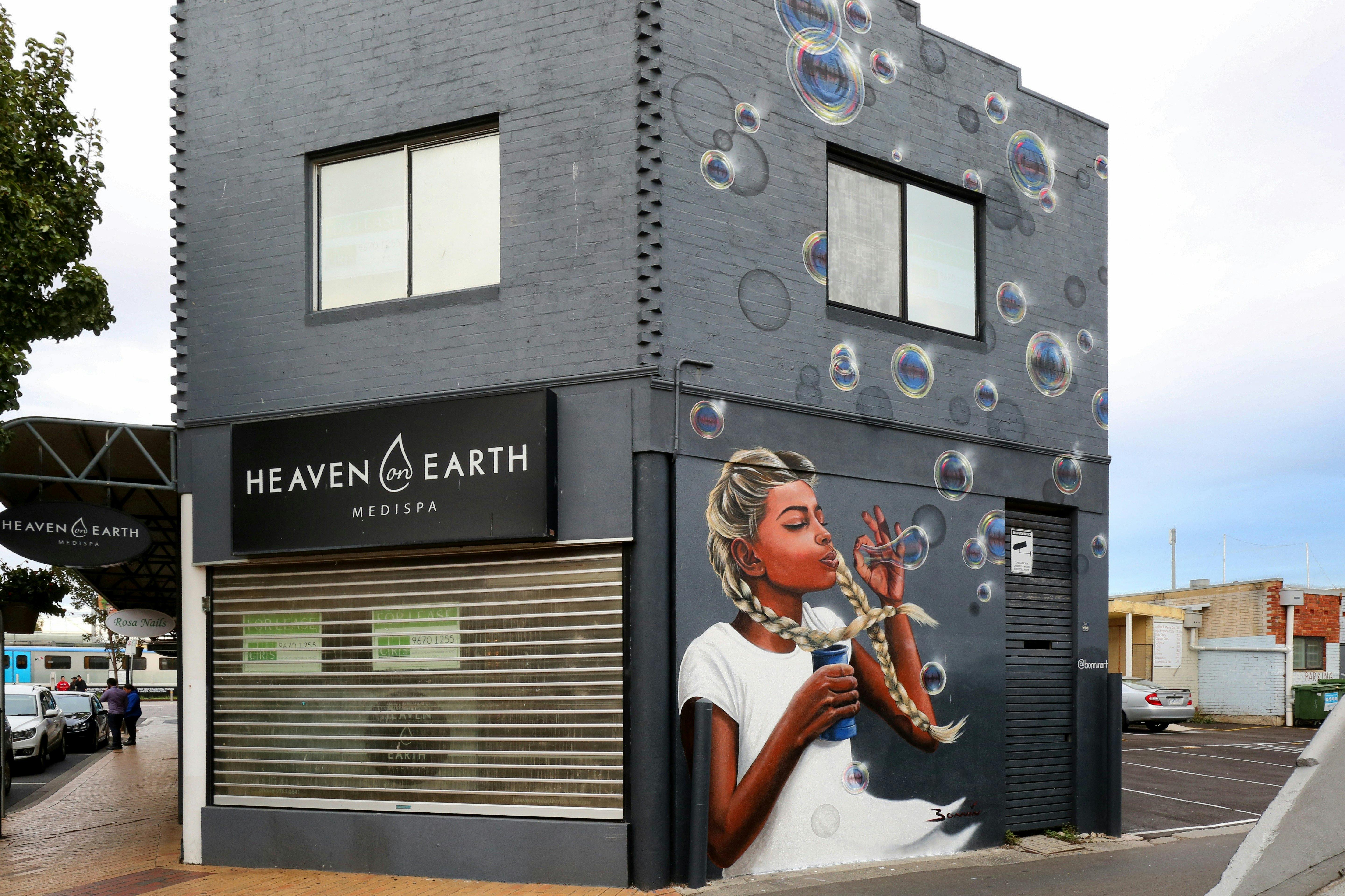 LUCY BONNIN - Mary Jayne, Frankston City street art