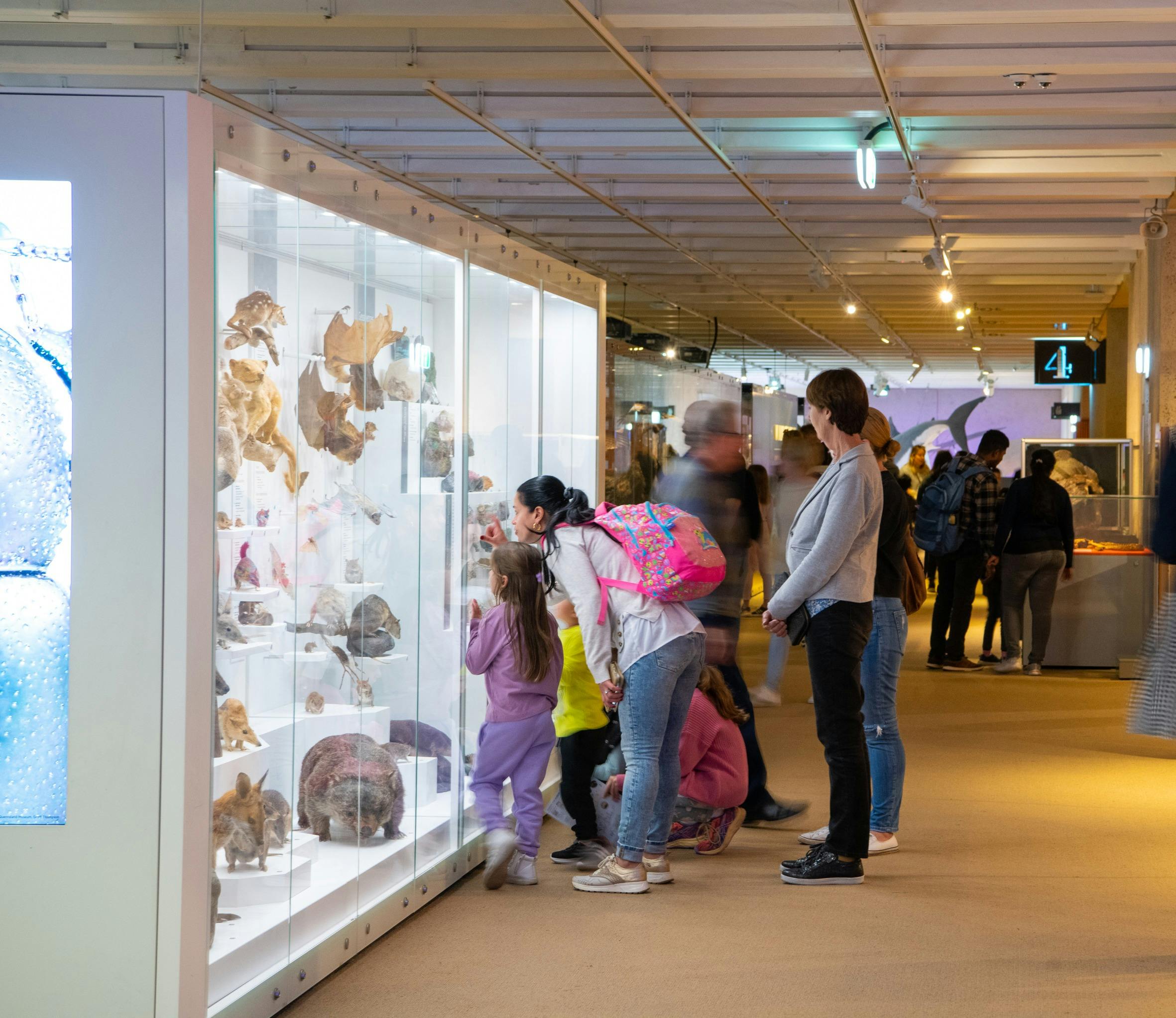 The museum's Discovery Centre