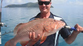 Caught  of Hayman Island