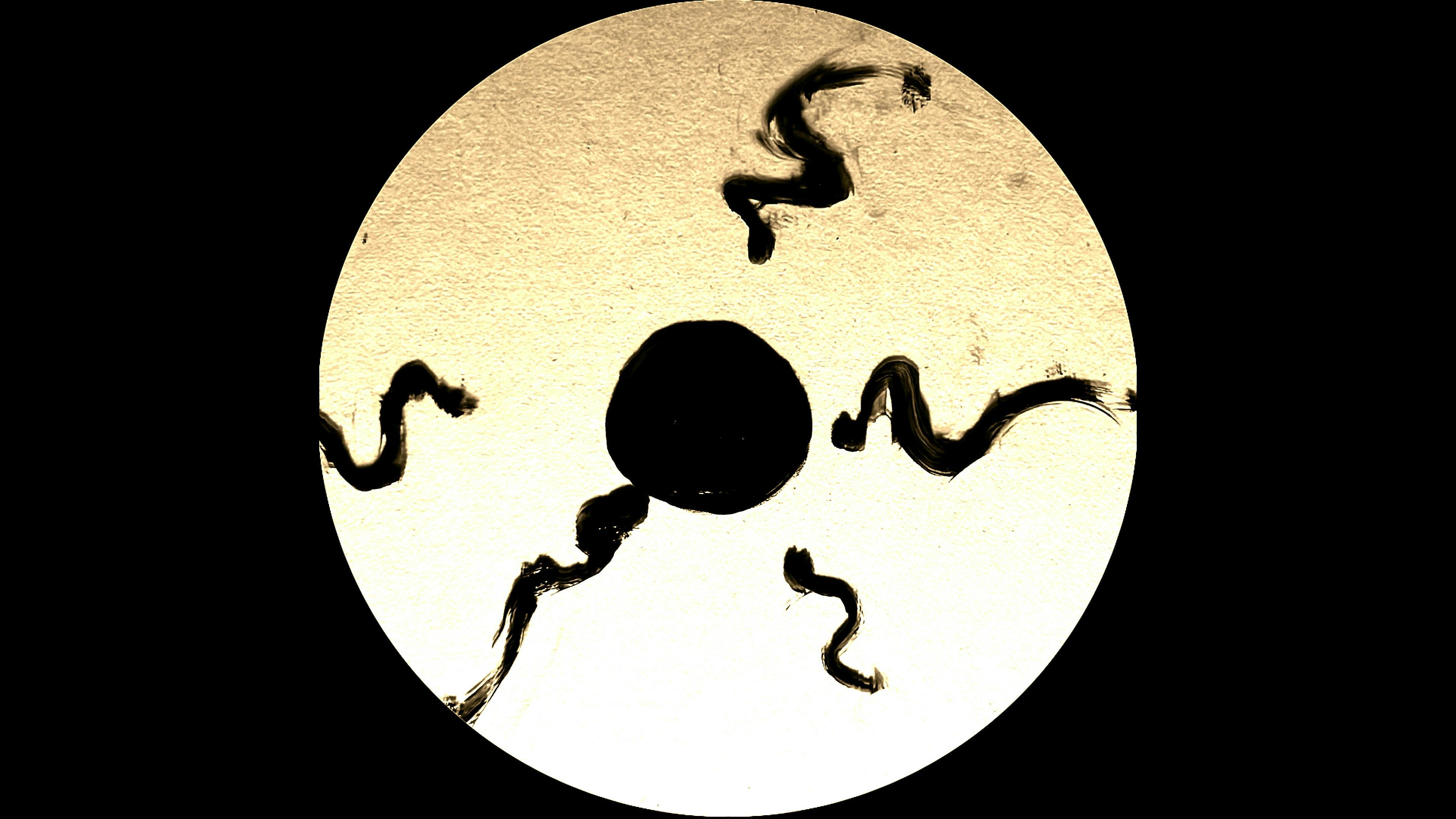 Still from CHRYSALIS animated short