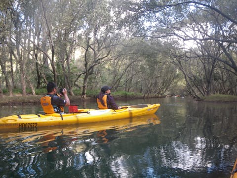 Middle Harbour Sydney Guided Kayak Tours