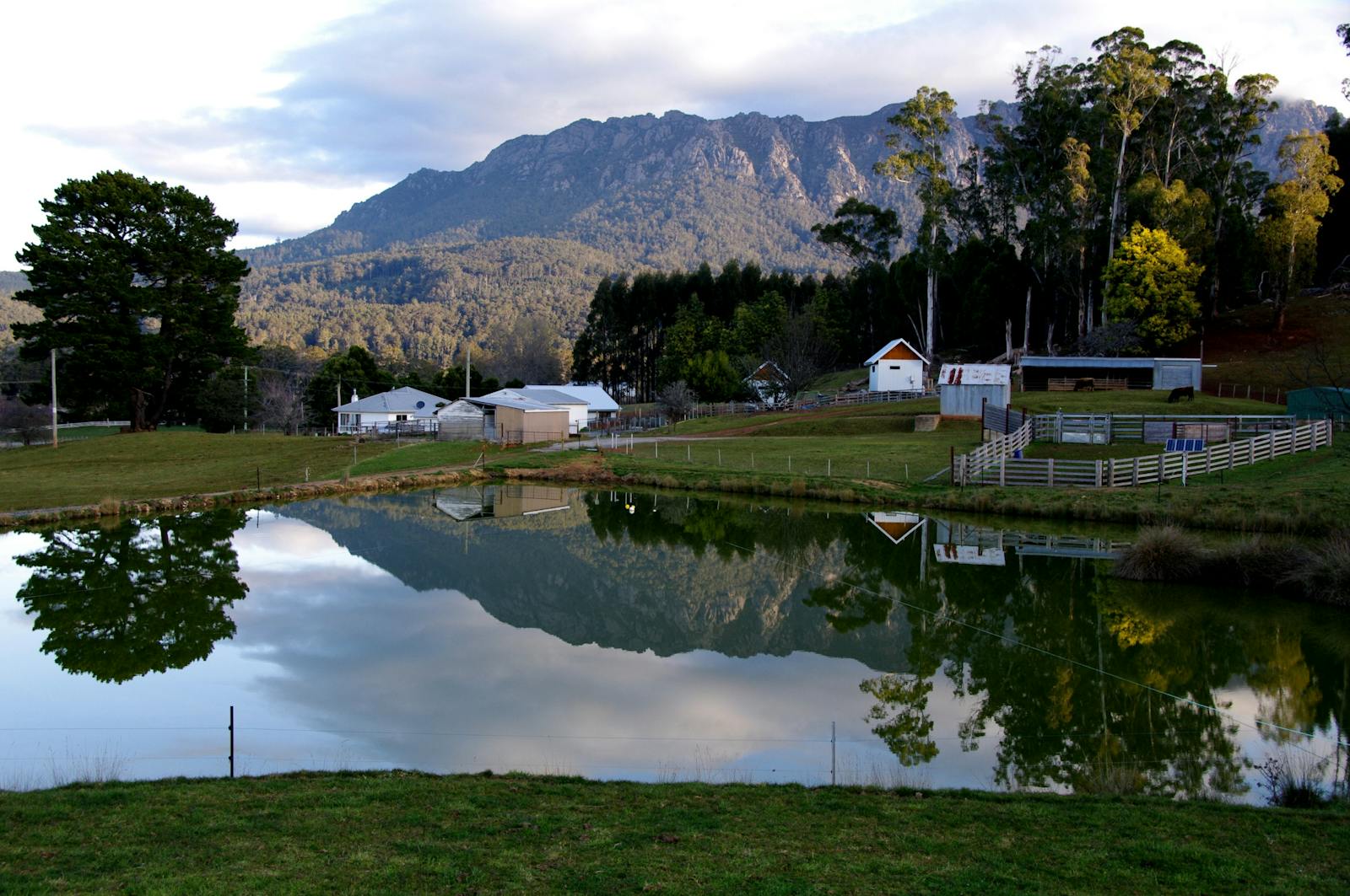 Paradise Road Farm