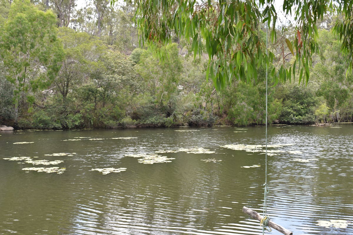 Wide Herbert River with fringing woodland, Princess Hills