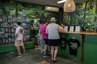 Port Douglas & Daintree Information at The Daintree Shop