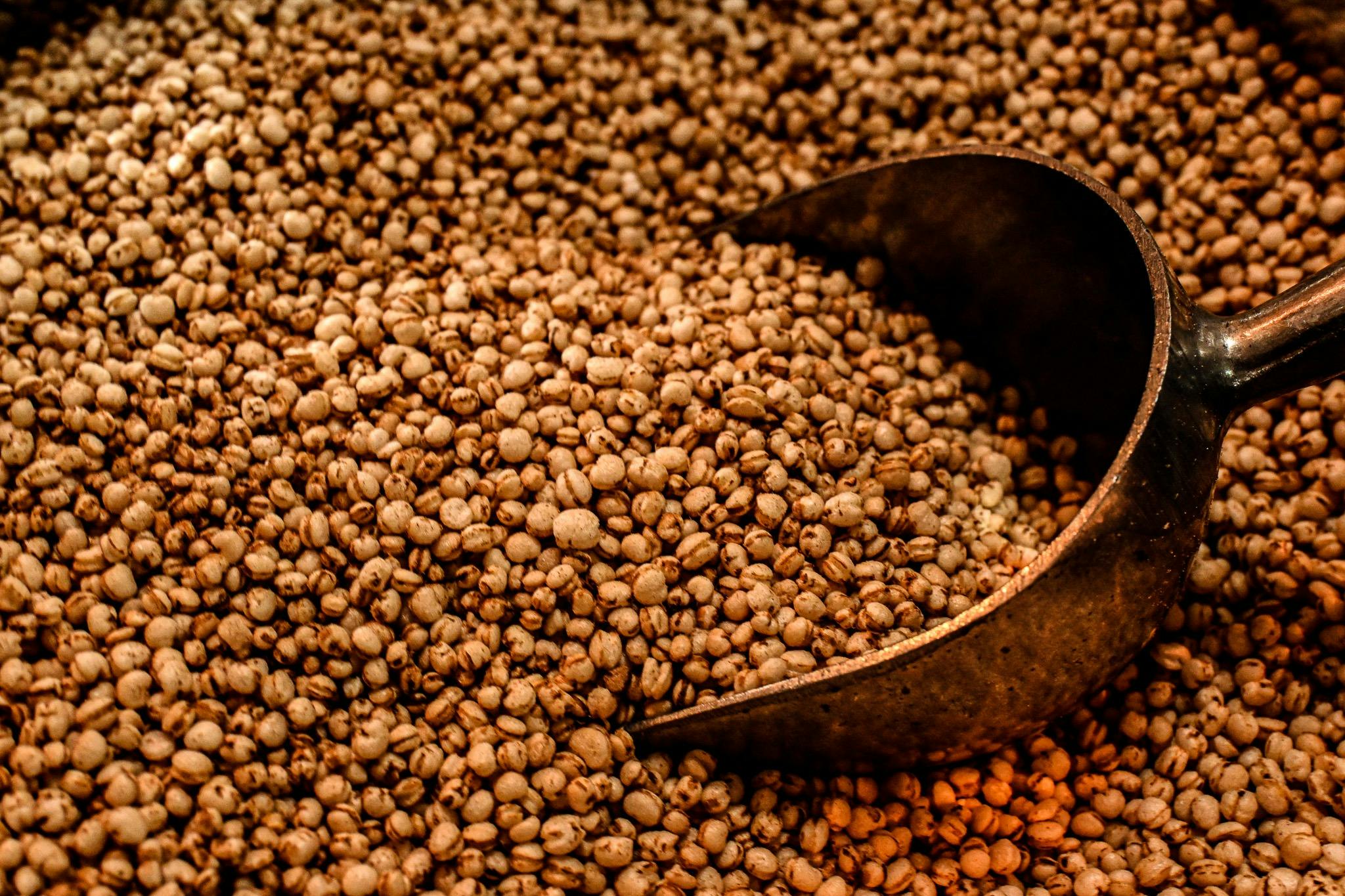 Scoop of lentils
