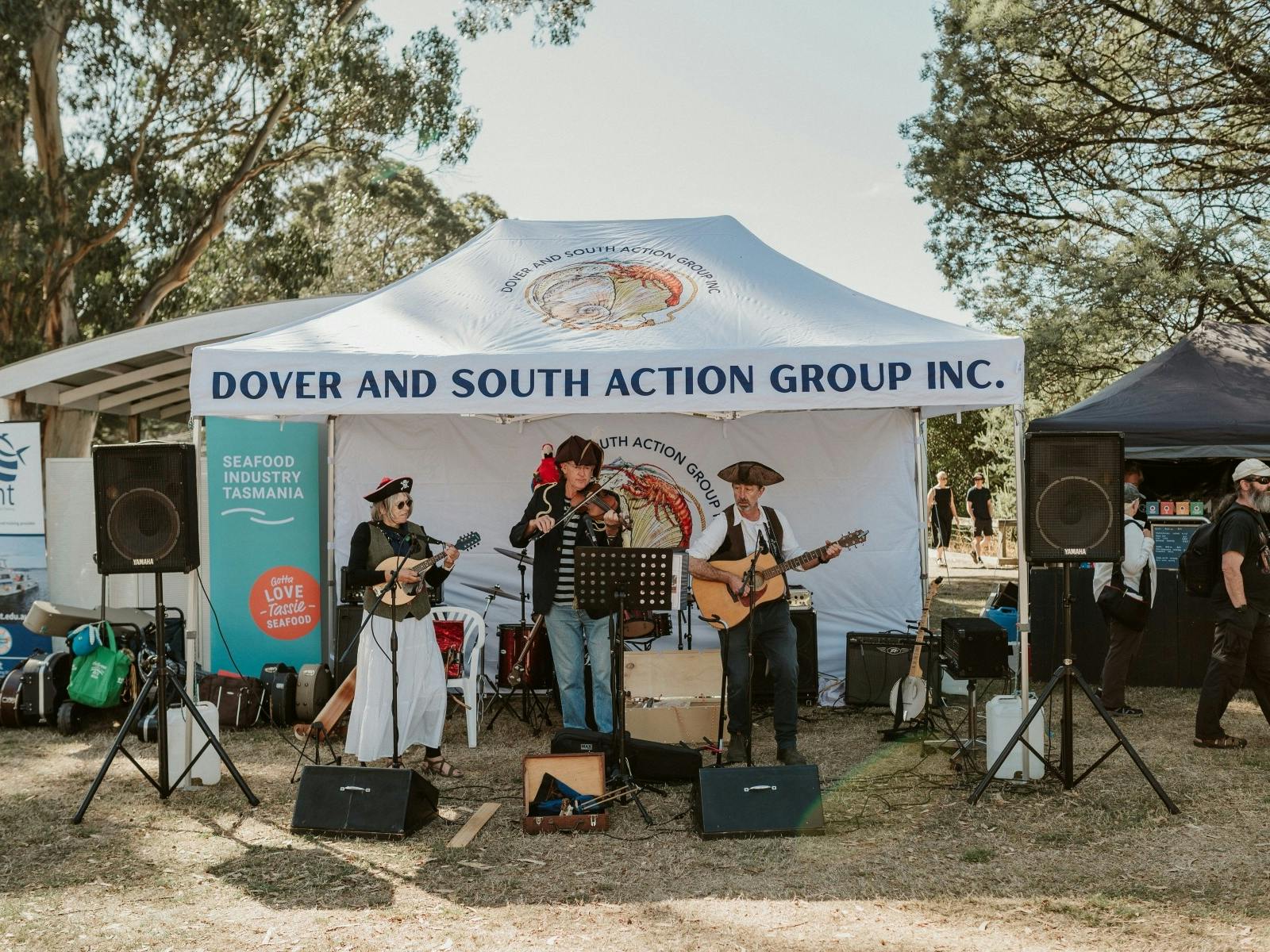 Live musicians perform at Dover Seafest