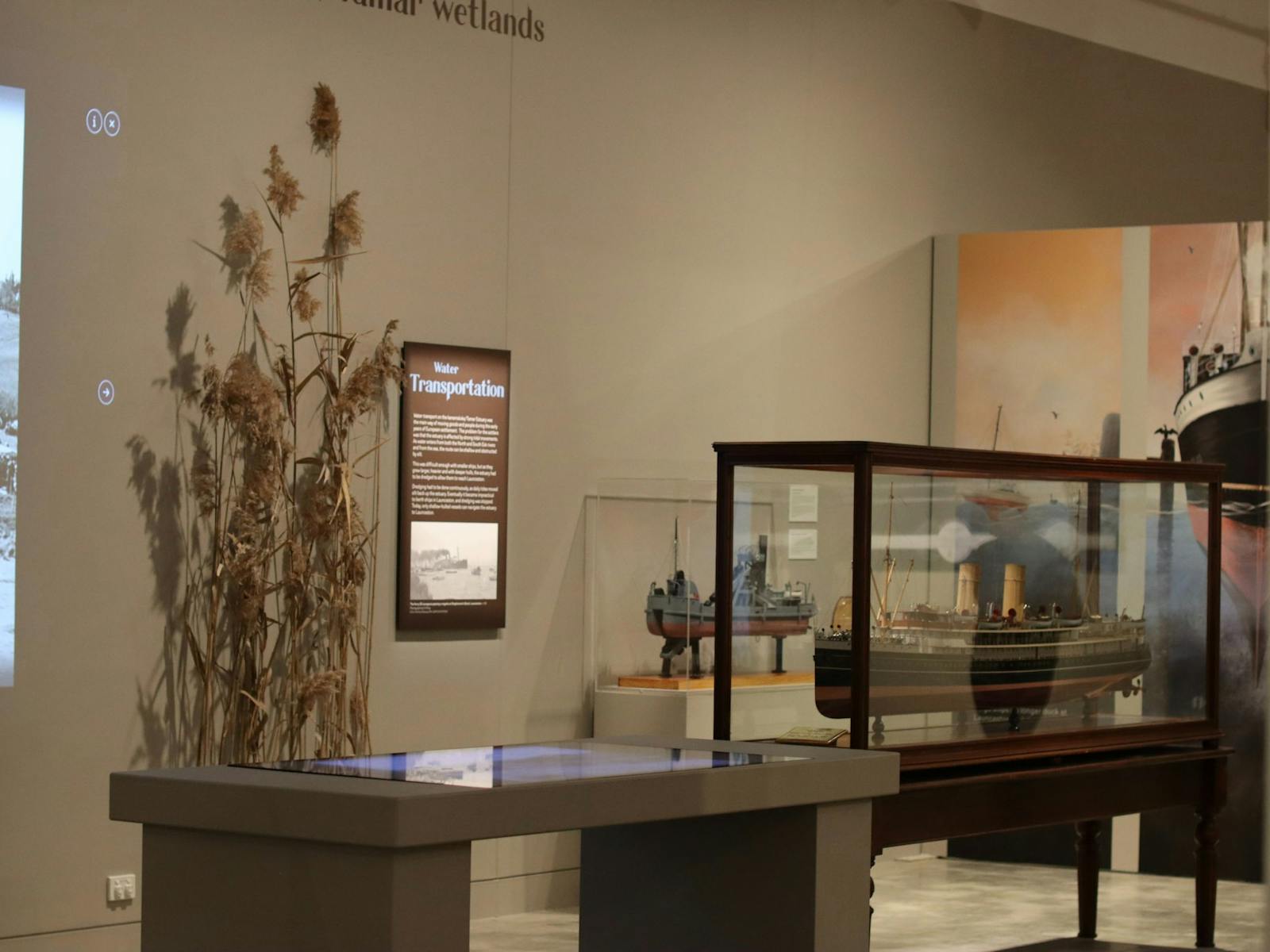 QVMAG's Wetlands exhibition, at the Museum at Inveresk until 31 March 2024.