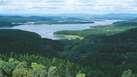 Danbulla National Park and State Forest