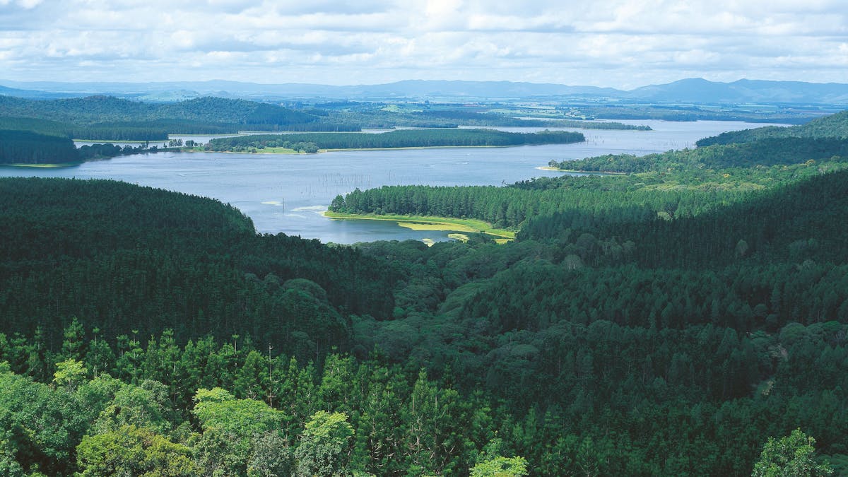 Aerial of Lake Tinaroo, Danbulla Aerial of Lake Tinaroo, Danbulla