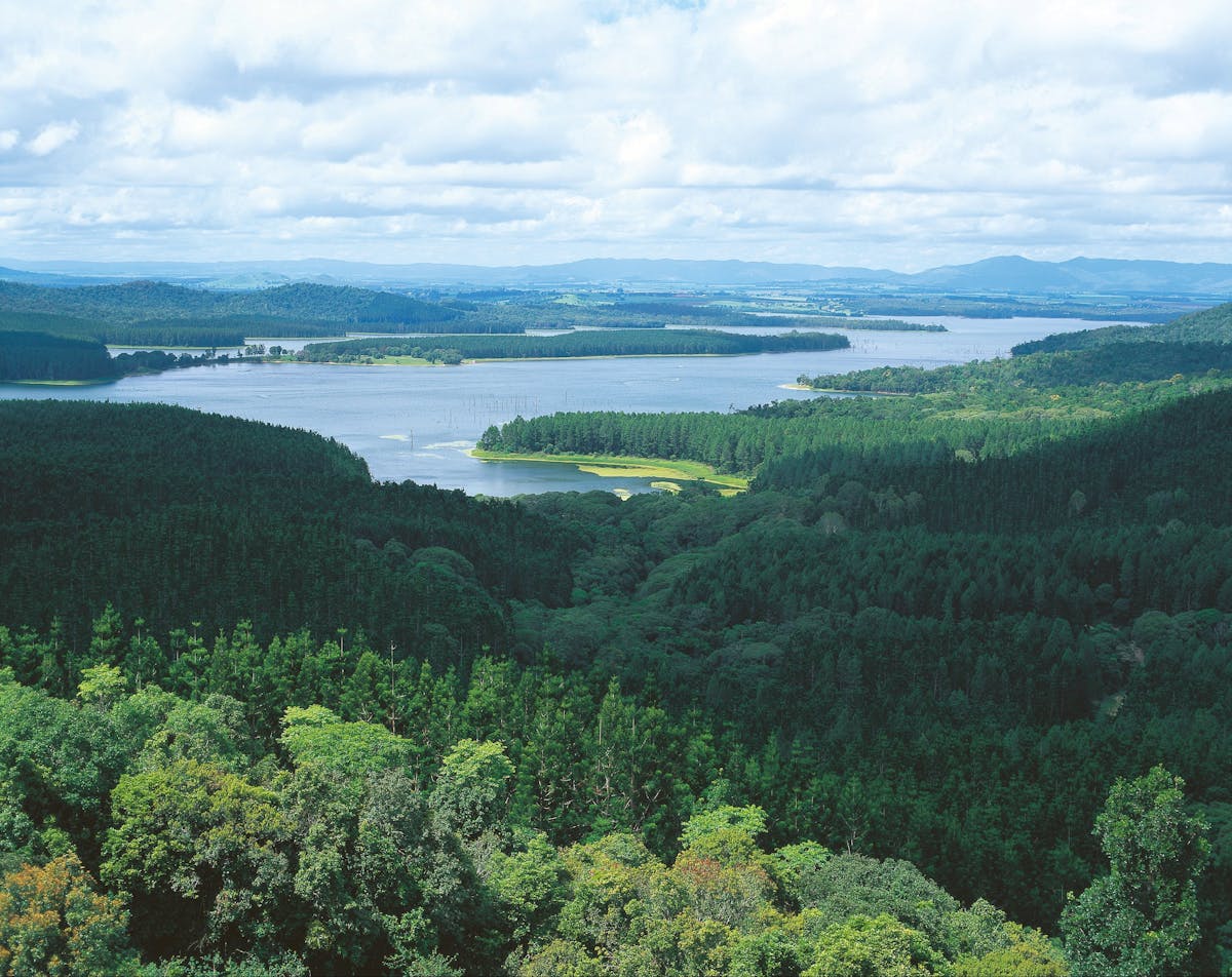 Aerial of Lake Tinaroo, Danbulla