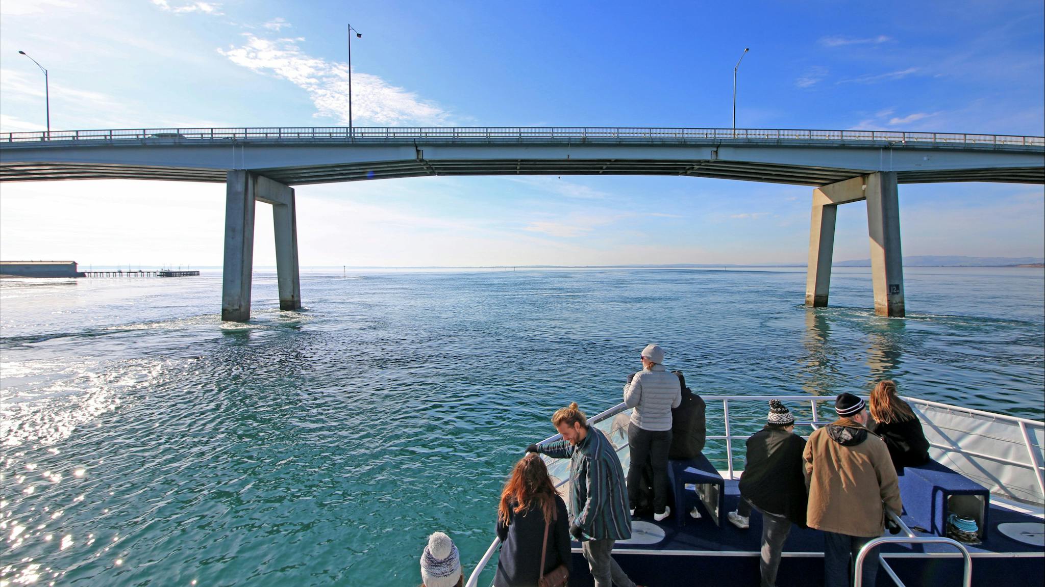 Wildlife Coast Cruises