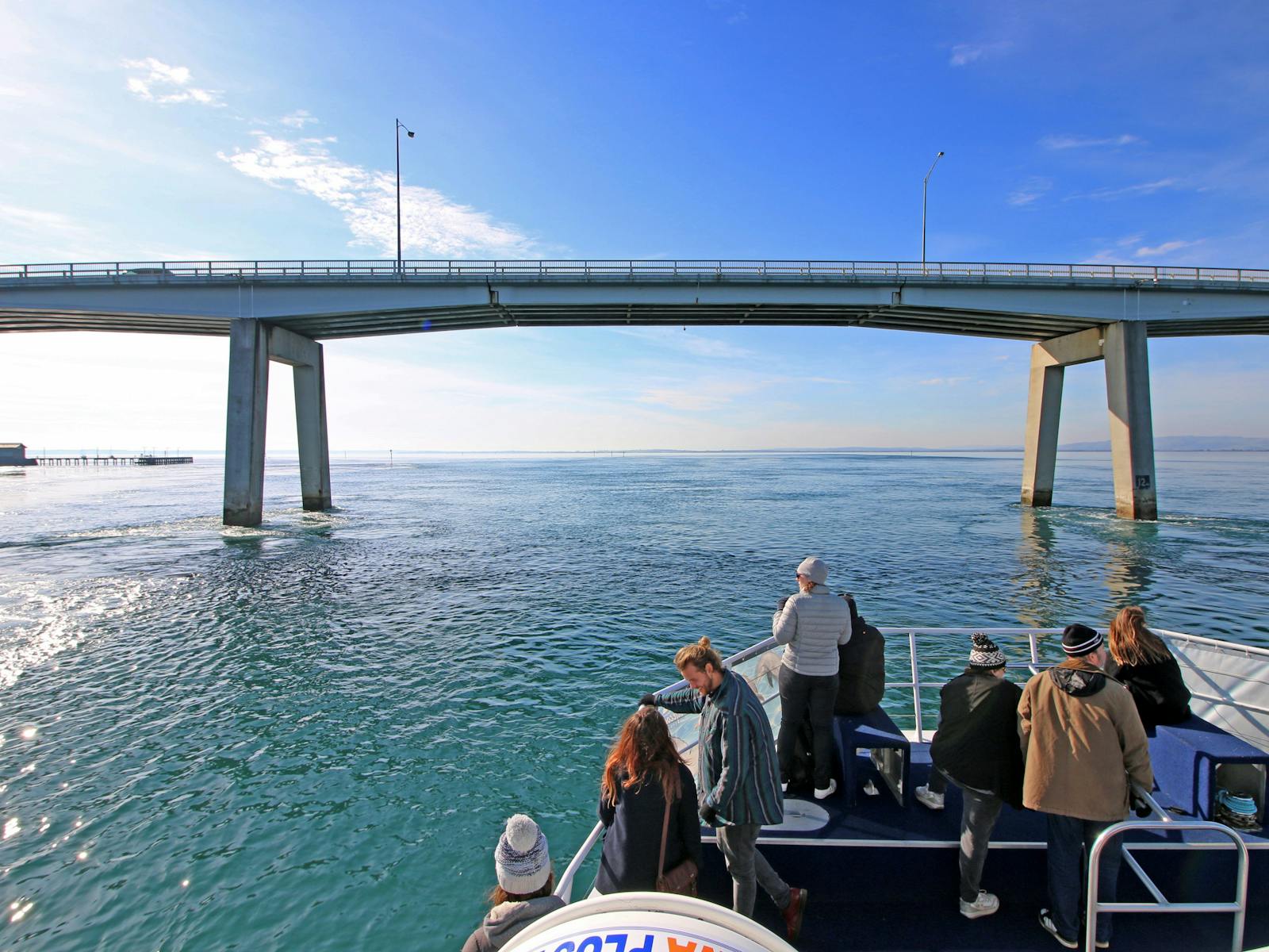 Wildlife Coast Cruises