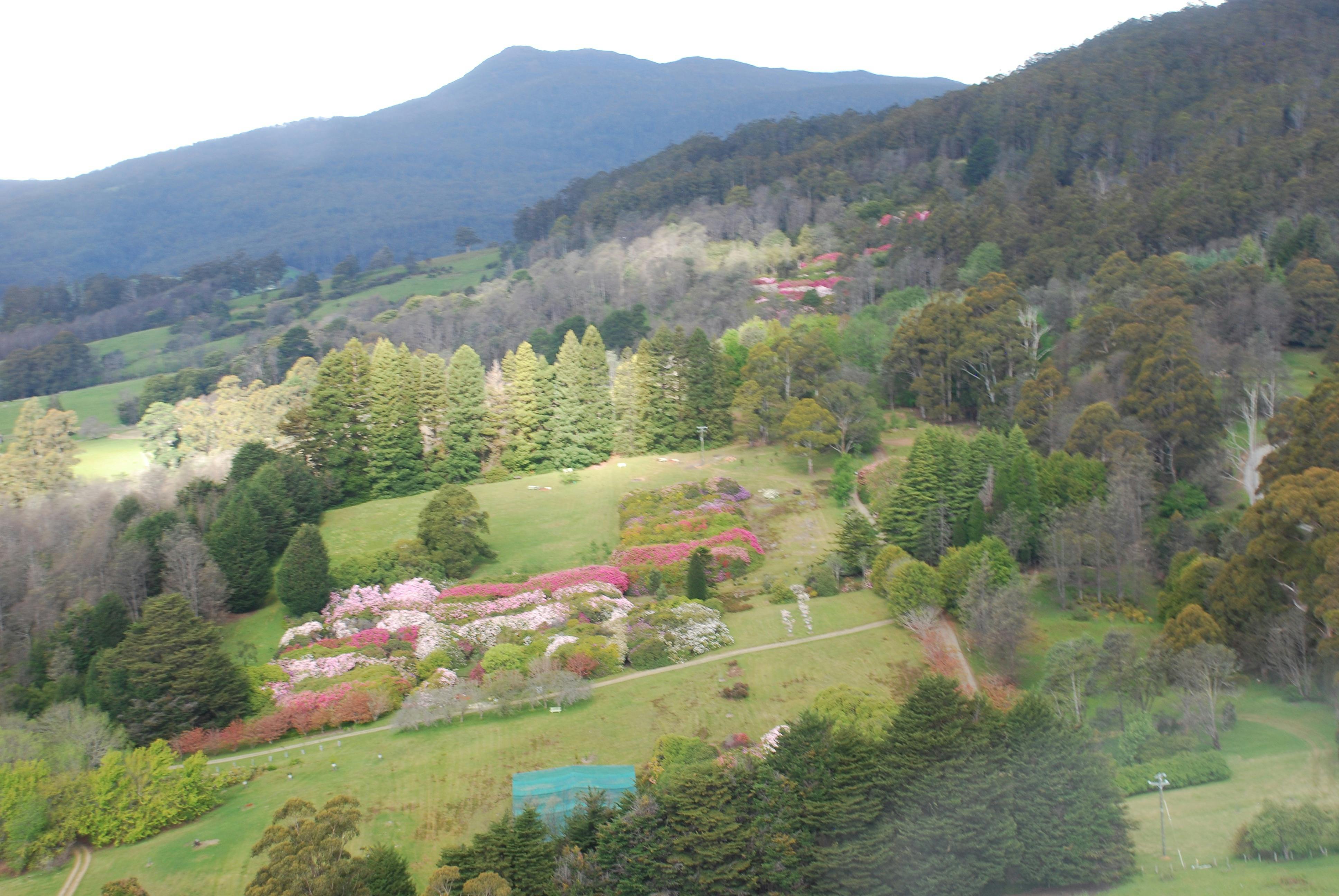 Lalla Flower Farm