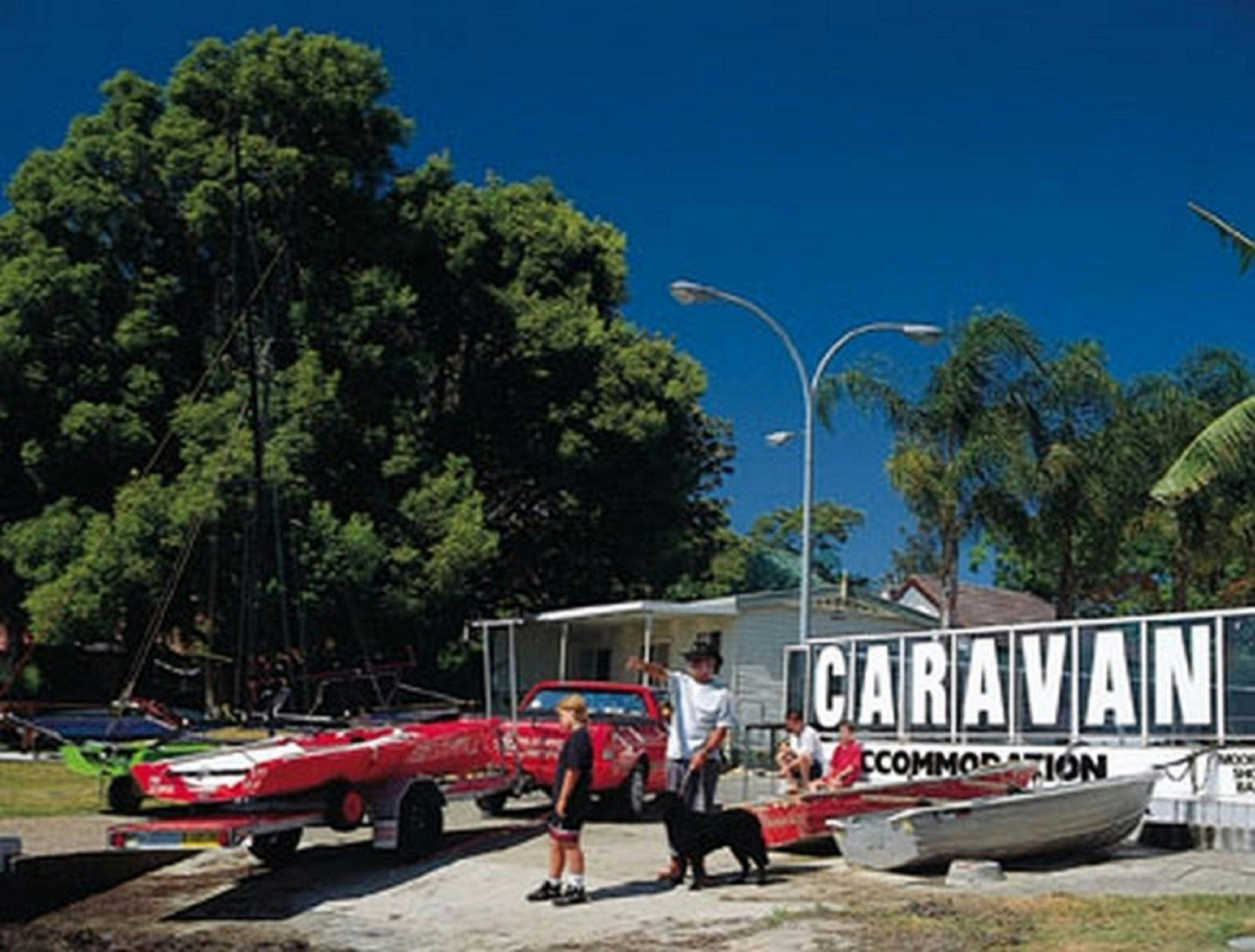 パラダイスパームスキャリーベイ