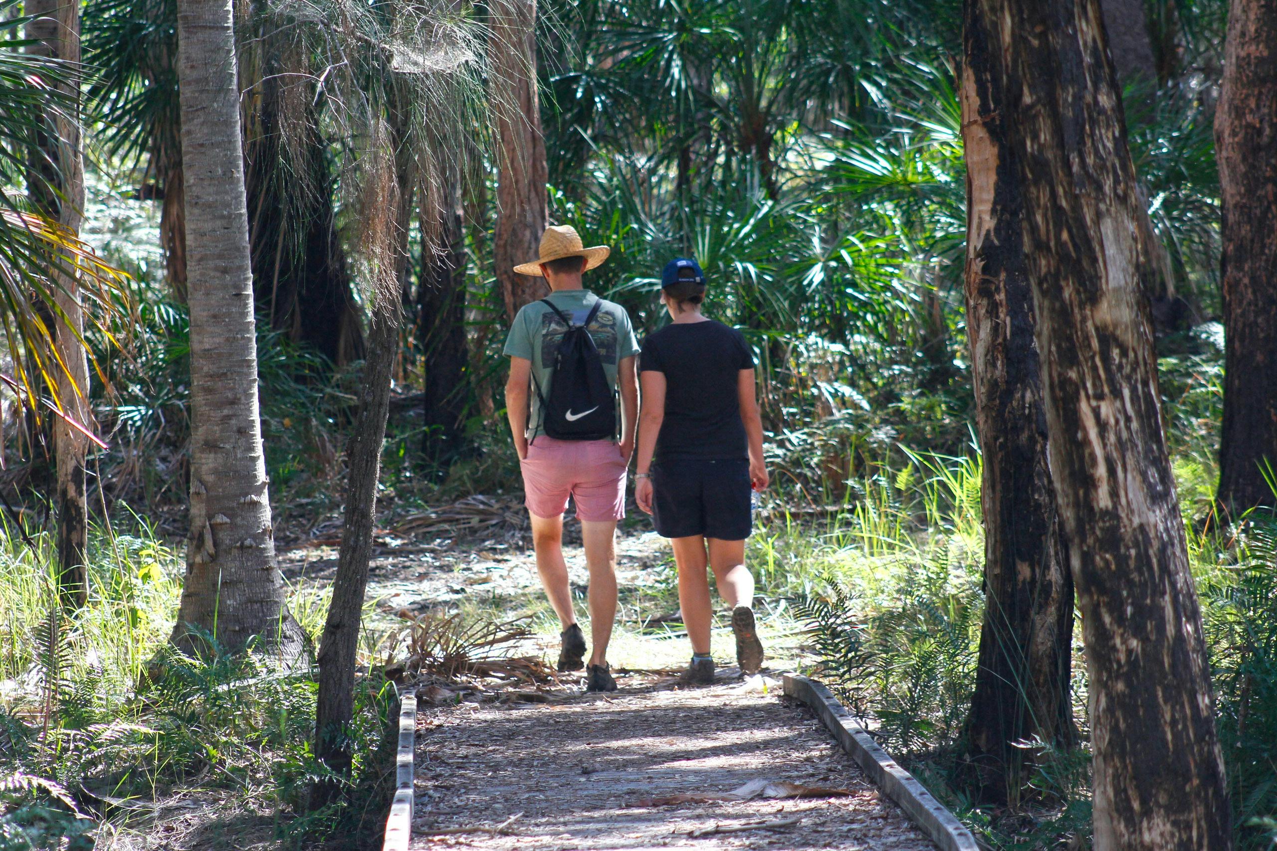 Two peopel walk along low-level boardwalk fringed by tall trees.