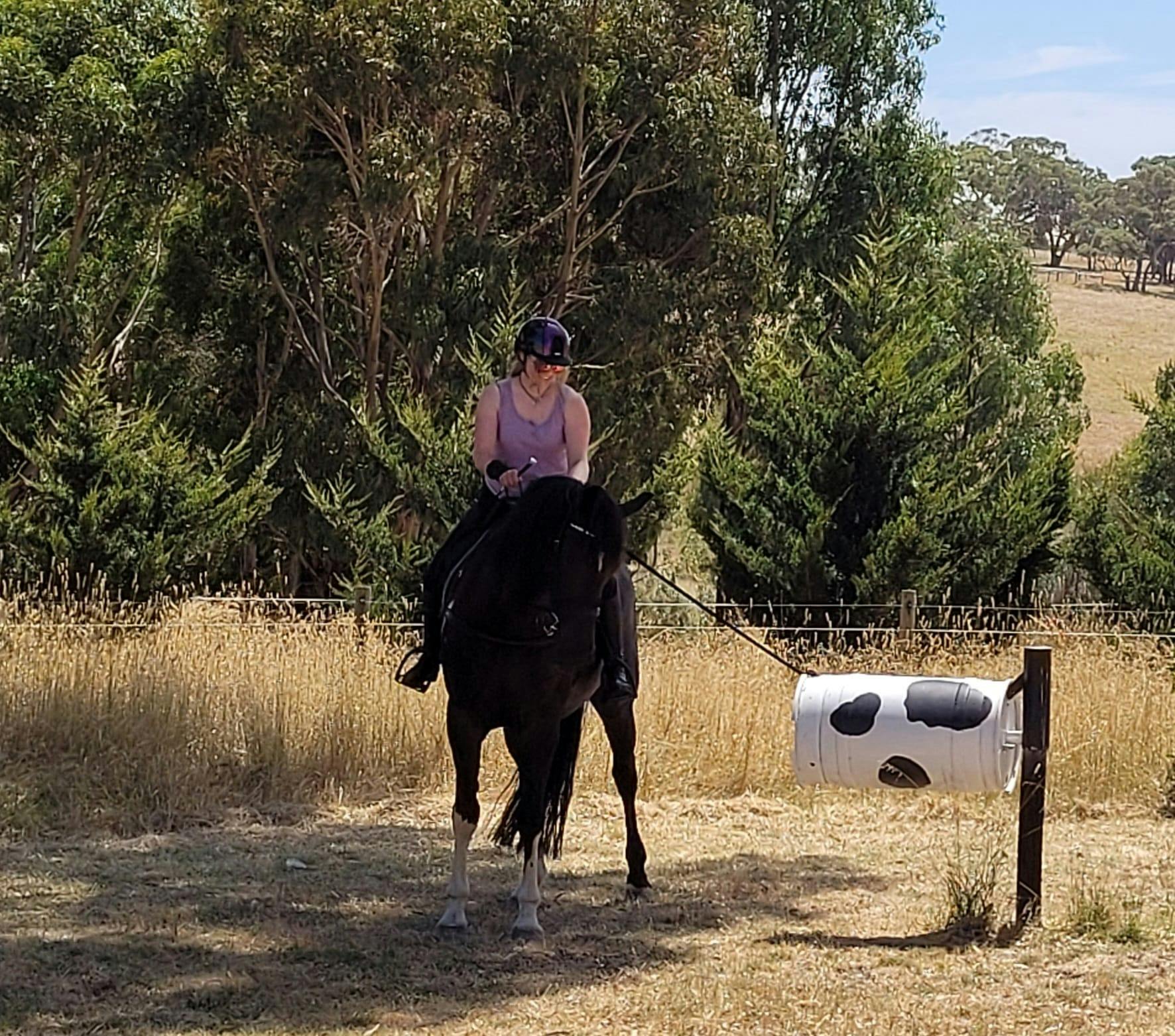 girl on a horse pulling a fake cow in a circle