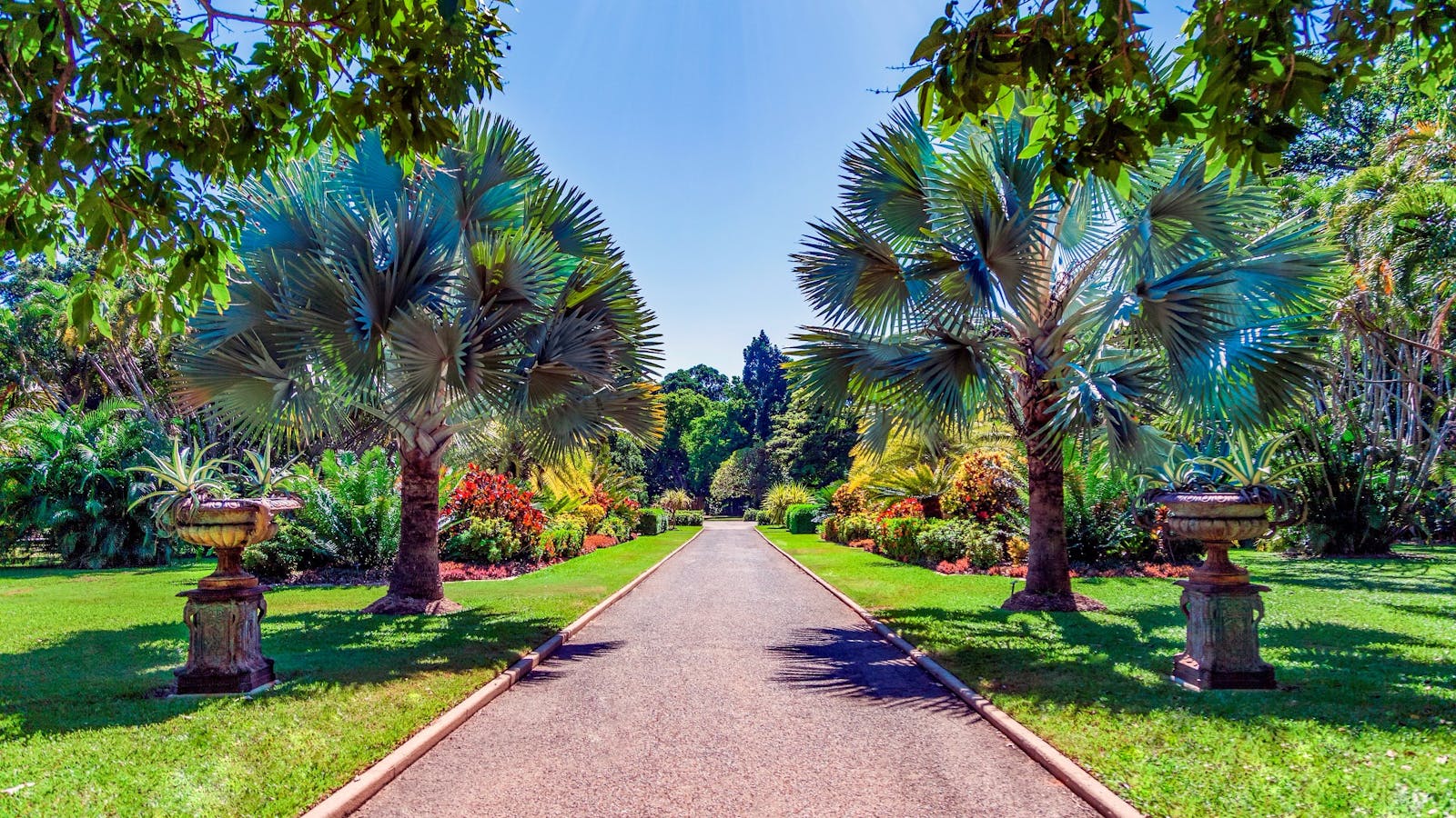 Queens Gardens