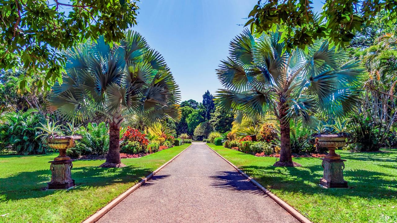 Queens Gardens