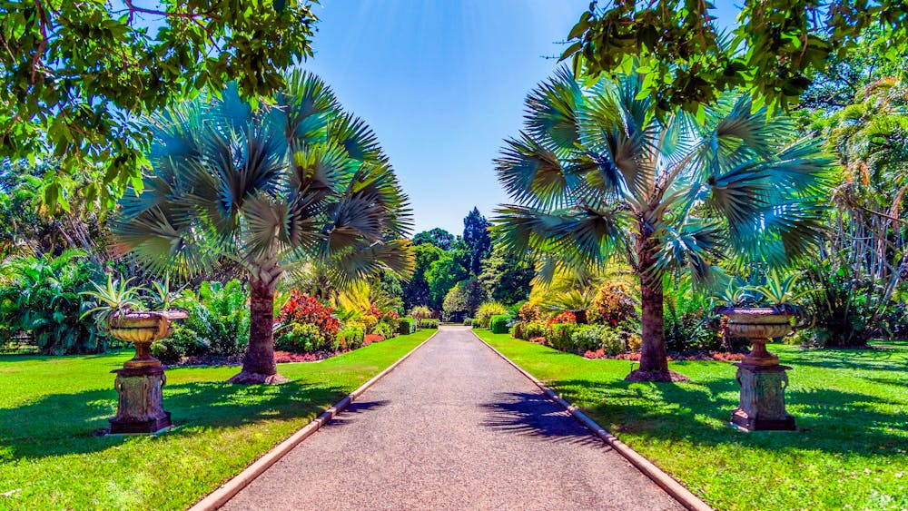 Queens Gardens