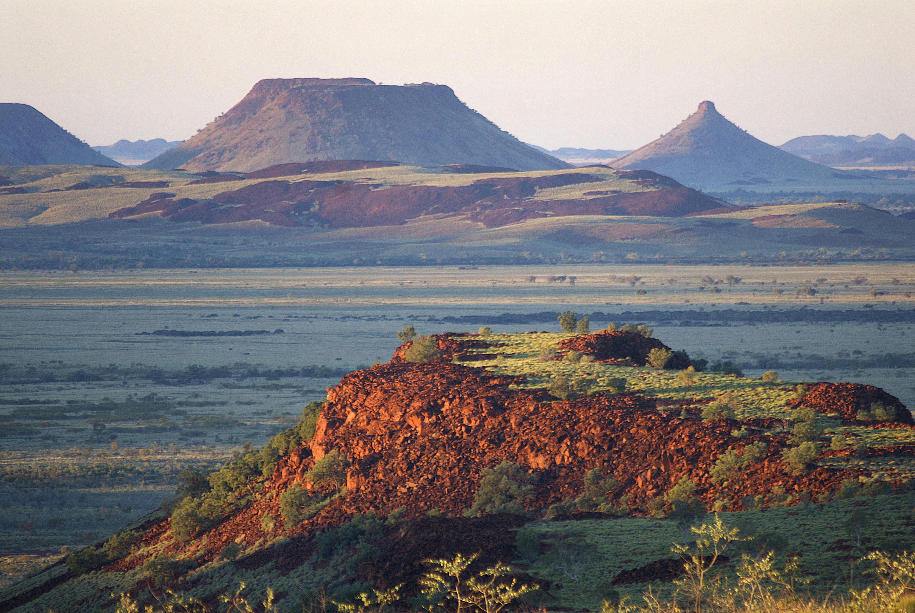 Pilbara Wildflower Trail, Millstream Chichester National Park , Western Australia