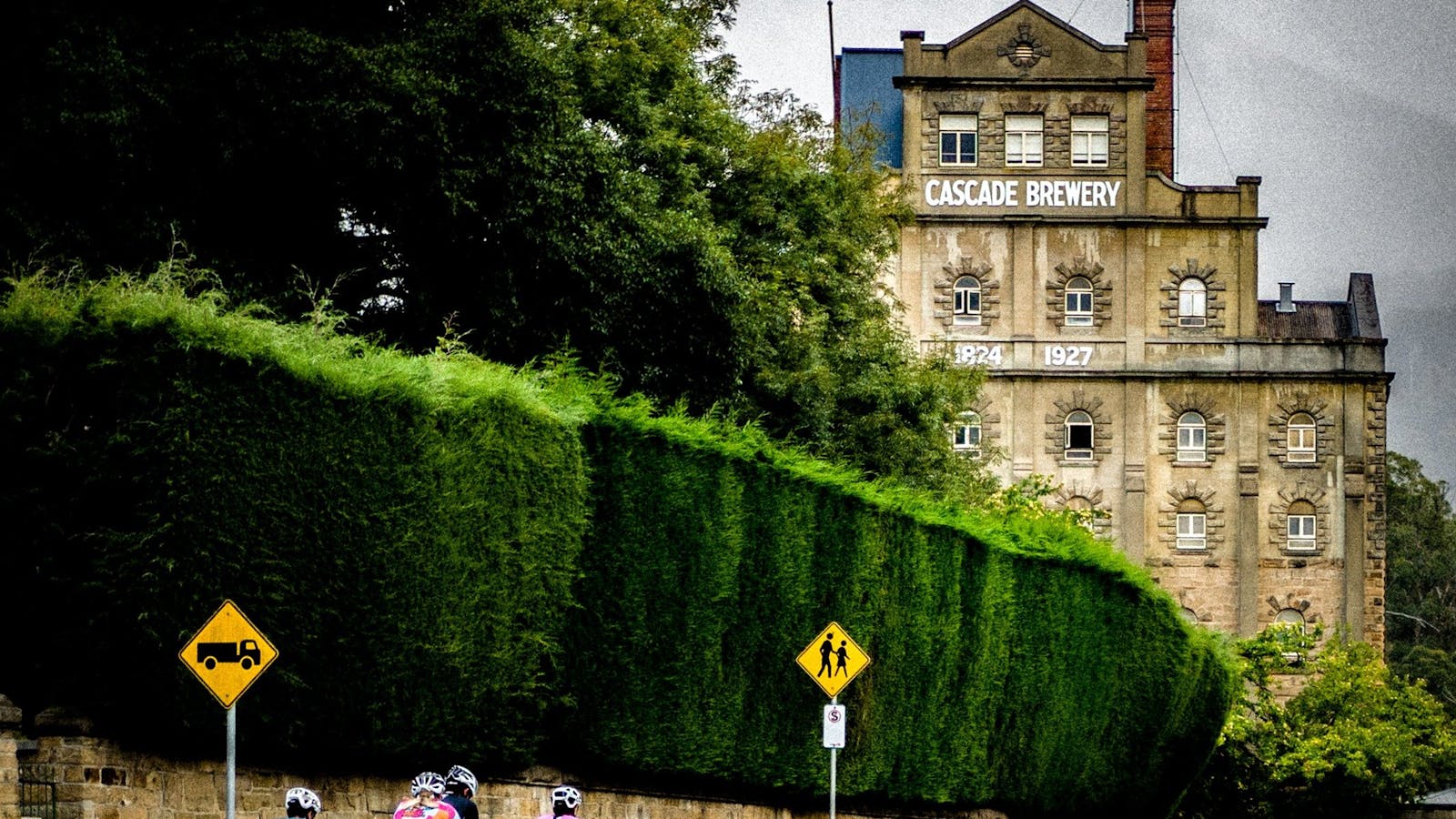 The mountain, a brewery and trees, what more could one ask for in one ride?