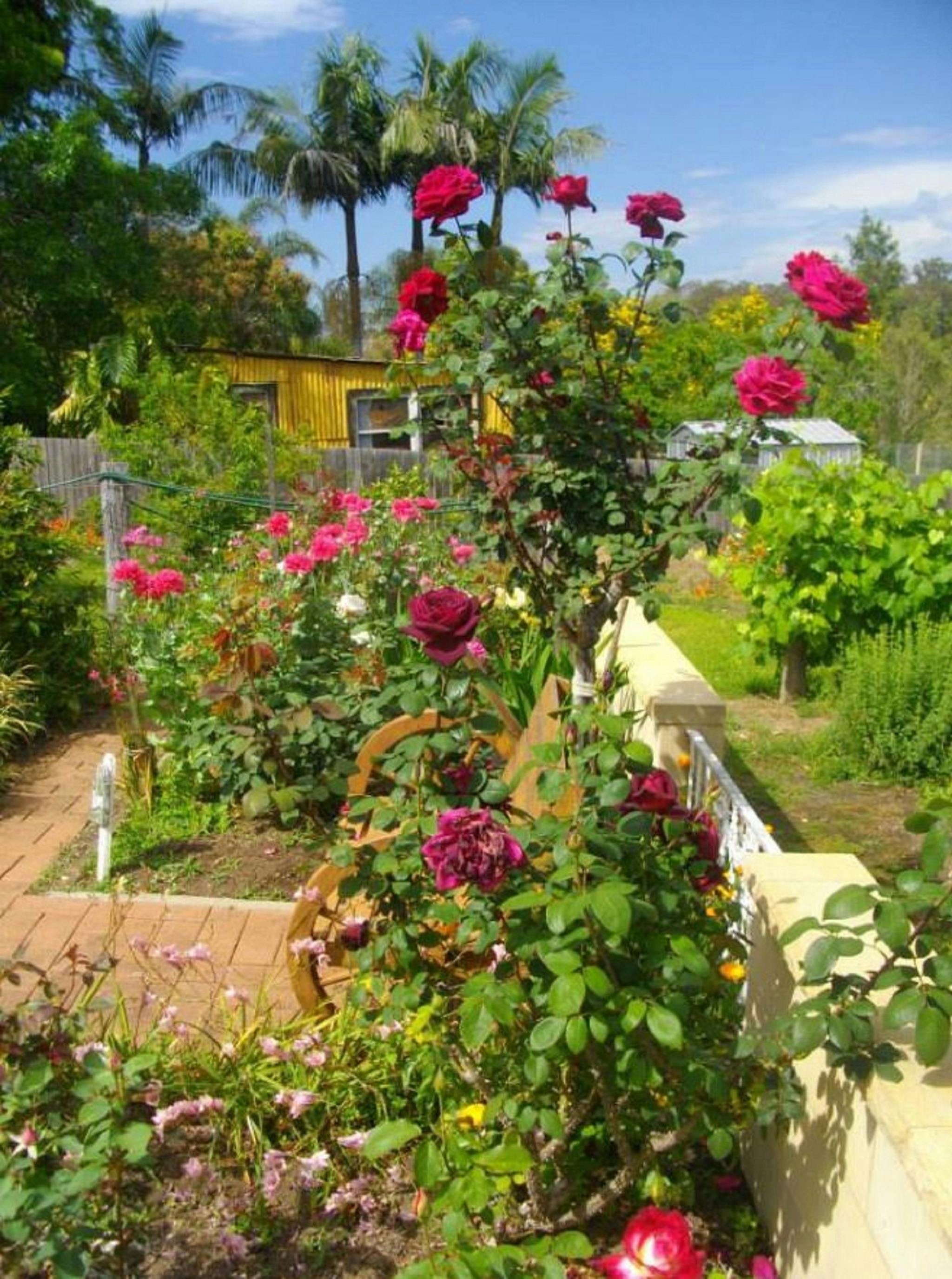 Tinonee Heritage Walk | NSW Holidays & Accommodation, Things to Do