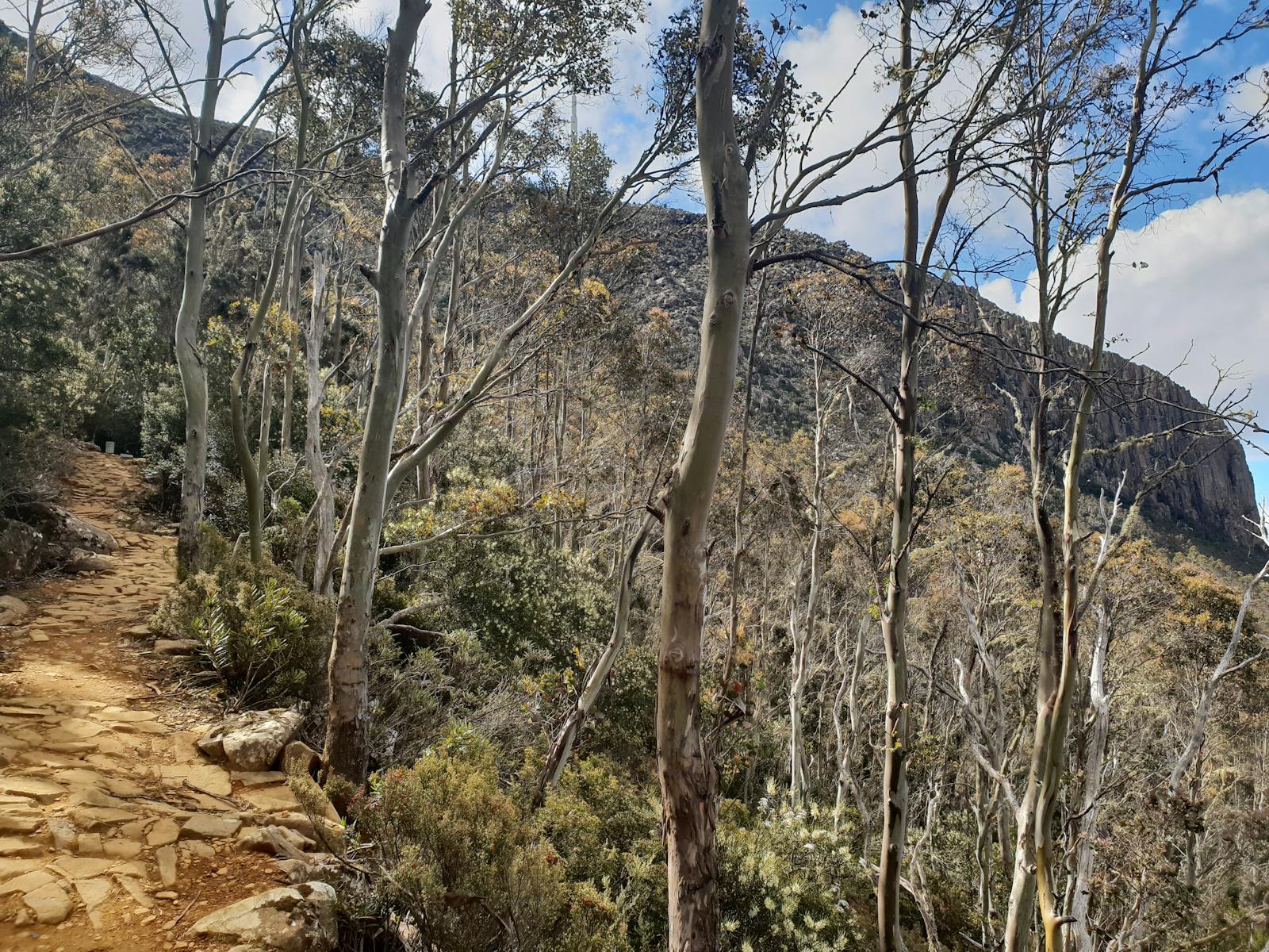 mount wellington, hobart, Tasmania, walk