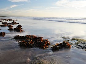 Fairy Meadow Beach