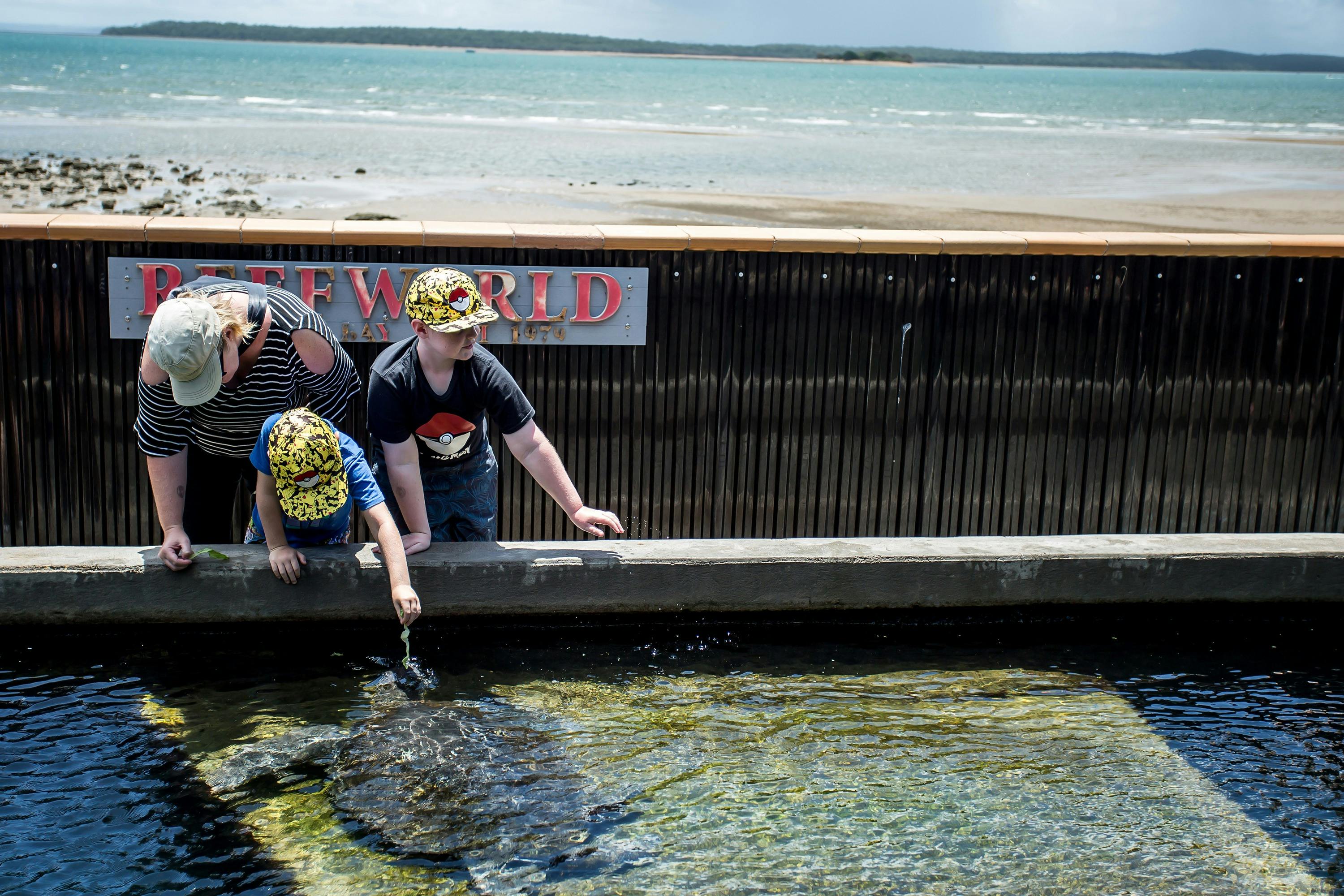 photo showing kids feeding a turtle at Reefworld Aquarium Hervey Bay