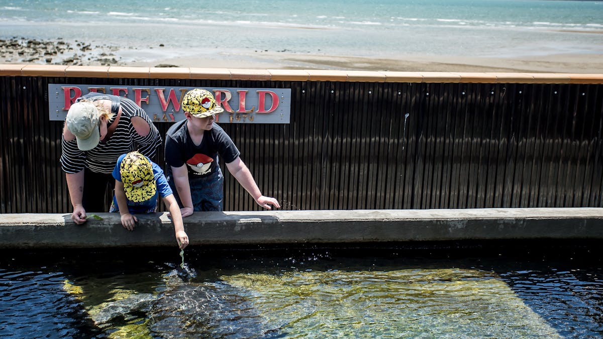photo showing kids feeding a turtle at Reefworld Aquarium Hervey Bay