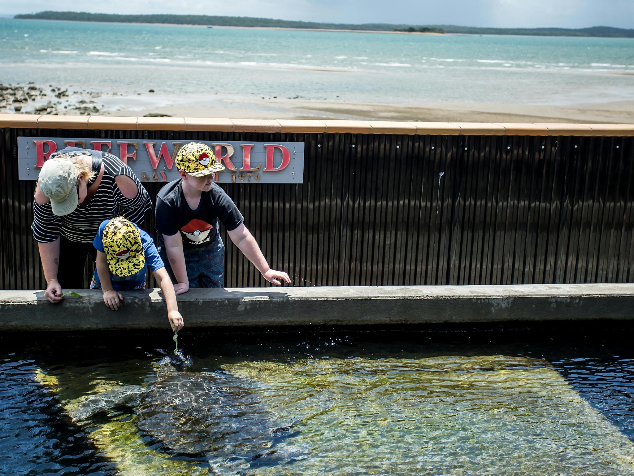photo showing kids feeding a turtle at Reefworld Aquarium Hervey Bay