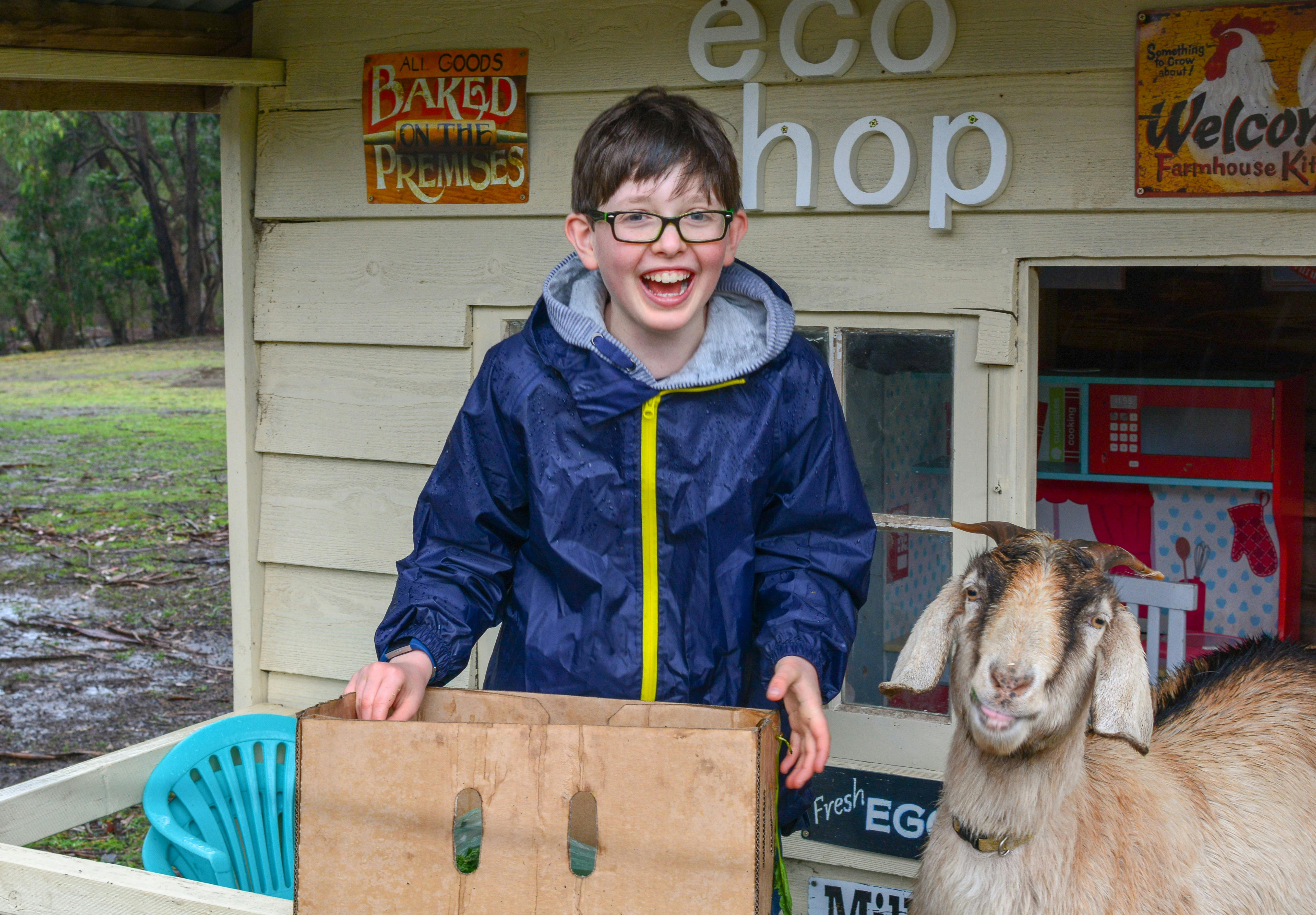 farm stay meet animals goats and farm activities