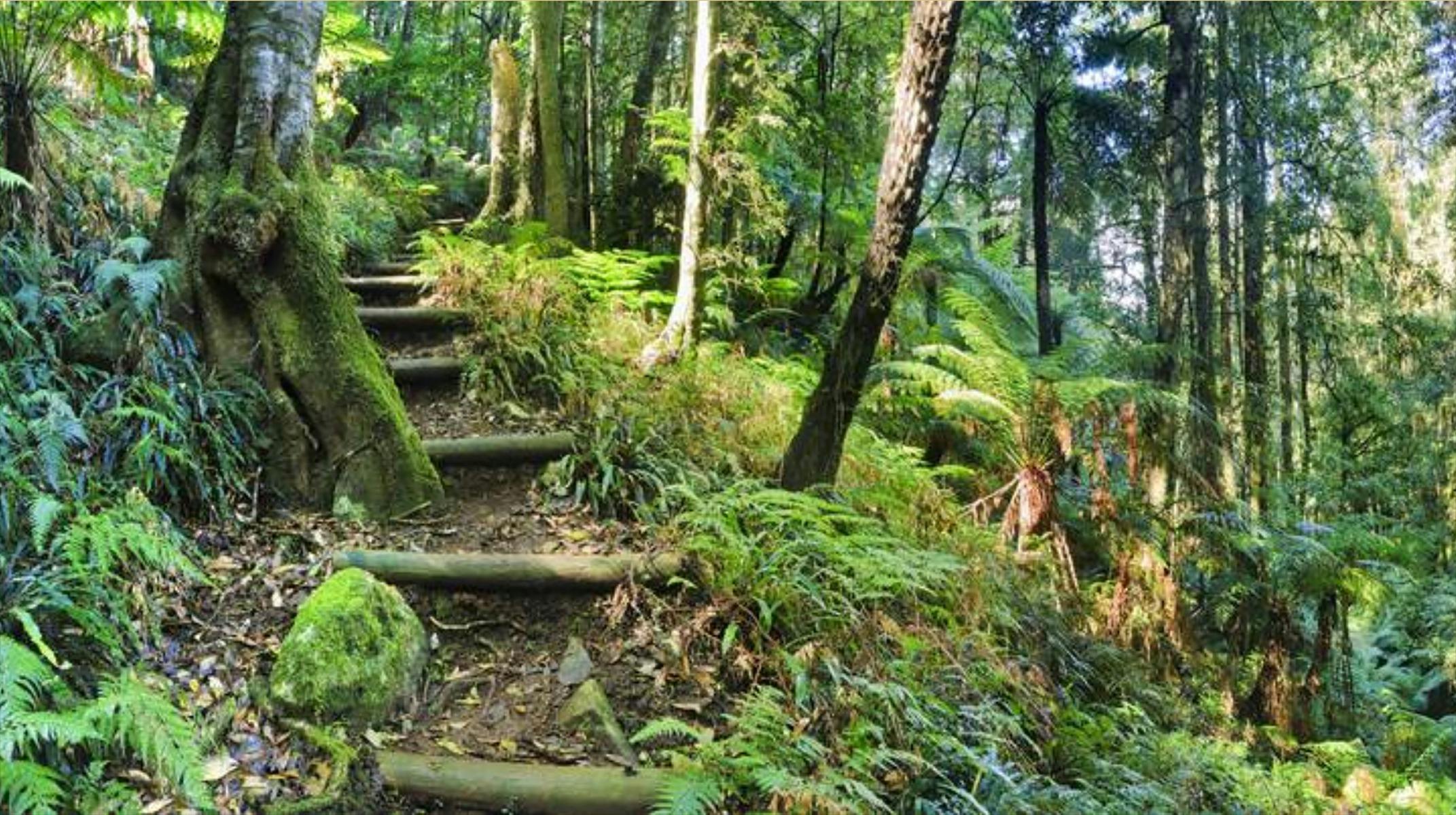 blue mountain walk 7