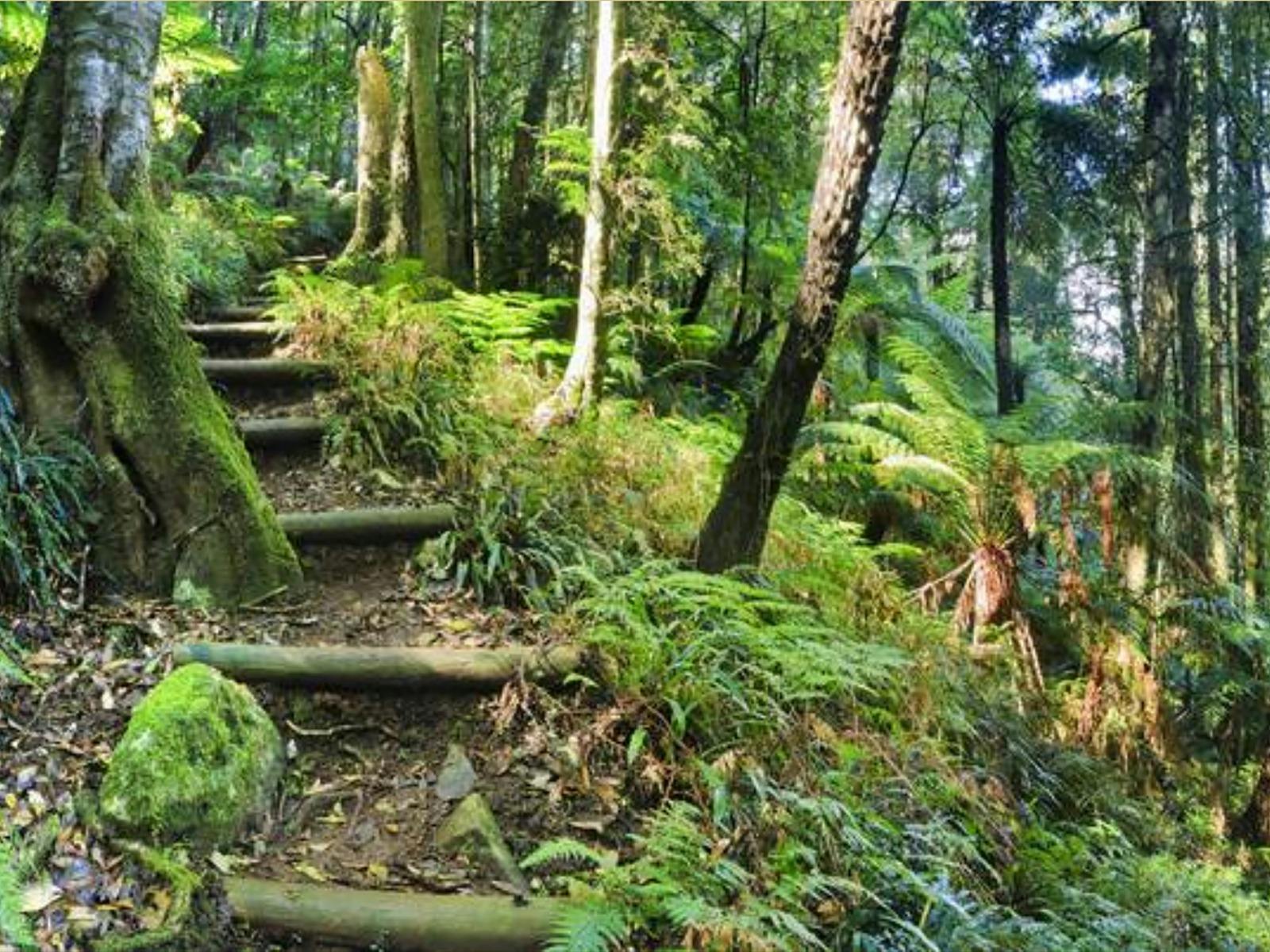 blue mountain walk 7